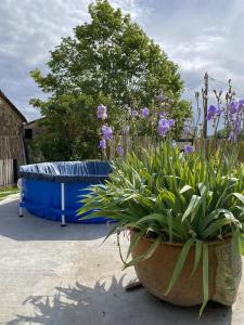 Maisons de vacances Le Petit Four a Pain : photos des chambres