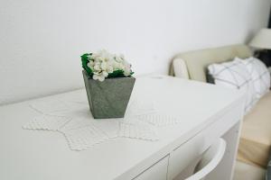 Host Wise - Terrace & Ocean View Flat