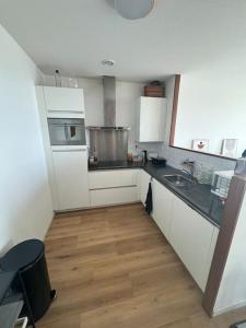 The Crown in the Hague