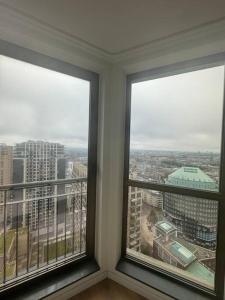 The Crown in the Hague