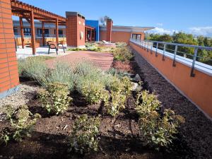 Apartamenty-Plaza Kołobrzeg