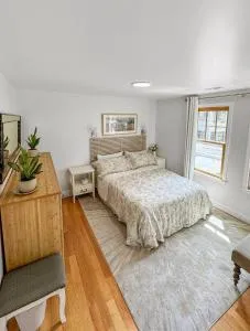 Harvard Sq Gem, Modern City Life - 萨默维尔