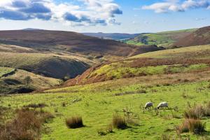 Finest Retreats - End Barn at Blackclough Farm