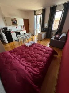 Pantone Cremisi-Seregno Center - 塞雷尼奥