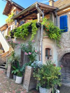 Appartements Les Gites du Raceme : photos des chambres