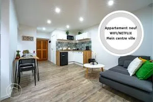 T1 bis tout confort centre historique - Jacob-Bellecombette