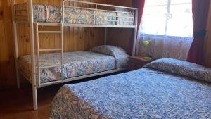 Cabañas en caburgua