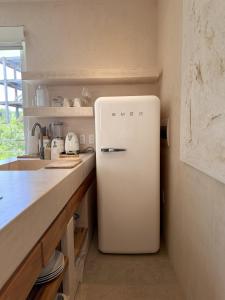 Jungle Chic Suites by Marea