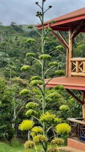 Cabaña Vistas Paraíso