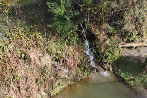 Cosy Clos Y Hendy Lodge