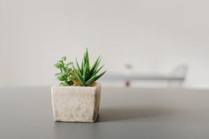 Sweet Home San Giuseppe Jato