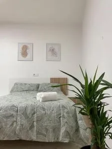 Estudio céntrico en Marín - Mogor