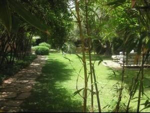 Douirhia avec piscine Le Dar Des Songes