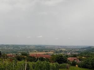 La vigna