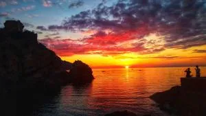 莱斯弗洛斯蓝色酒店 - 皮亚纳