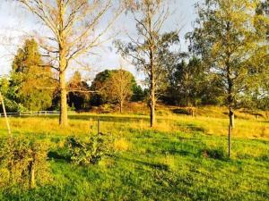 Nice Home In Tystberga With 3 Bedrooms And Jacuzzi