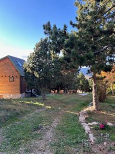 Chalets Chalet avec terrasse proche pistes : photos des chambres