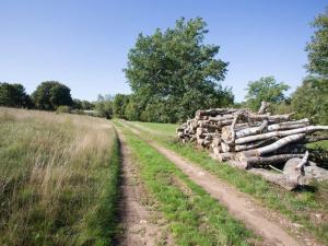 Nice Home In Vessigebro With 2 Bedrooms And Wifi