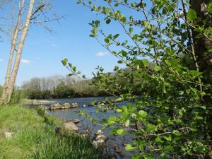 Campings Camping 