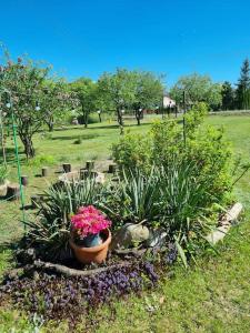 Apartament Lipska 36