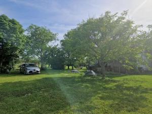 Apartament Lipska 36