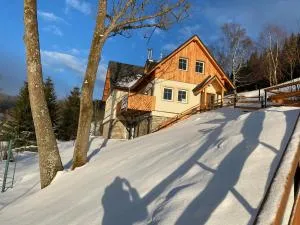 Apartmán v srdci Krkonoš - Horní Albeřice