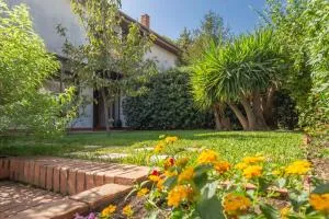 Elegante Villa con Giardino tra Catania ed Etna - 圣焦万尼拉蓬塔