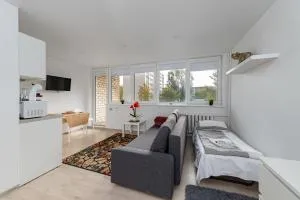 Pramonės Apartment #12 by PoloApartments - Lapės