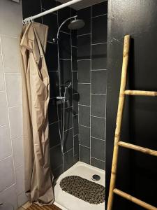 Appartements AppartSpa : photos des chambres