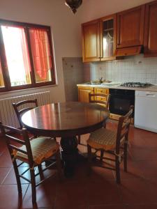 Casa gatta rossa orange cat house