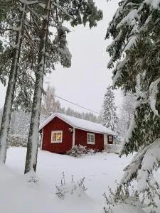 Sunshine Stuga Bergvik - Norrböle