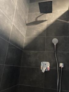 Swiss Deluxe Apartment