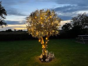 Larks Rise - Large Farm House Bungalow with Gardens & Field