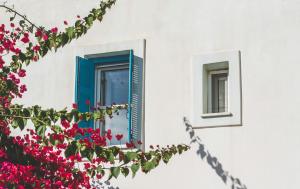 Andros Maisonettes Andros Greece