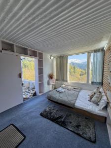 Stargaze with Rio, Glass-Lodge in Thachi Valley