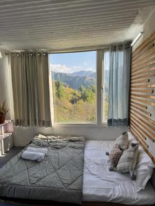 Stargaze with Rio, Glass-Lodge in Thachi Valley