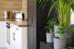 Maisons de vacances Loft au coeur des volcans d-auvergne : photos des chambres