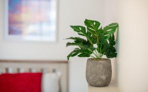 Quaint Centrally Located Getaway