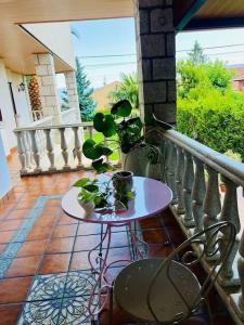 vivienda de uso turístico Maestro