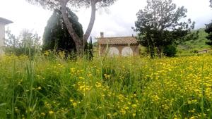 Casa Vacanze