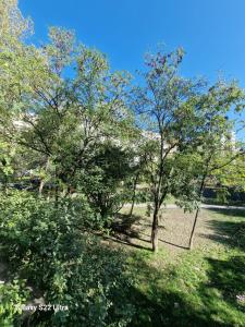 Apartament de inchiriat