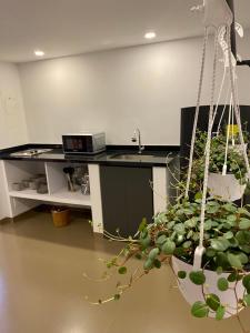 Ope Suites calle 100