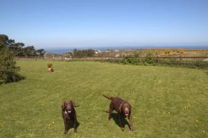 The Little Haven On The Cliff