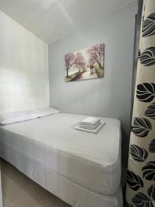 Transient in Bria Homes