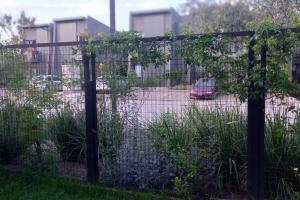 Las Olivas Apart Bosques de Mayo