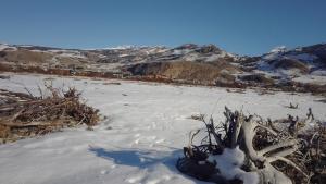 Cabaña Familia de Campo 2