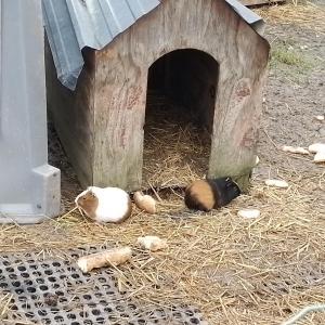 Sejours chez l'habitant Chez Sylvie, petit dejeuner offert : photos des chambres