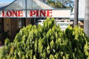 Lone Pine Motel - Wahgunyah