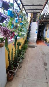 Amara Transient - 2 Bedroom Apartment