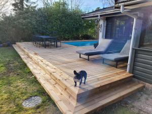 Amazing Home In Nykøbinbg Sjælland With 3 Bedrooms, Swimming Pool And Wifi